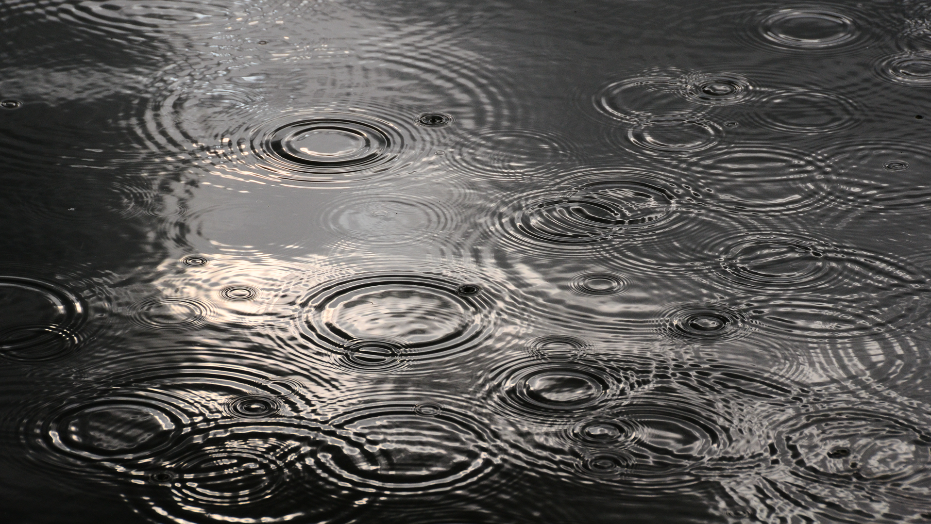 Dreamstime Xxl 38678473 638e2cce5a817