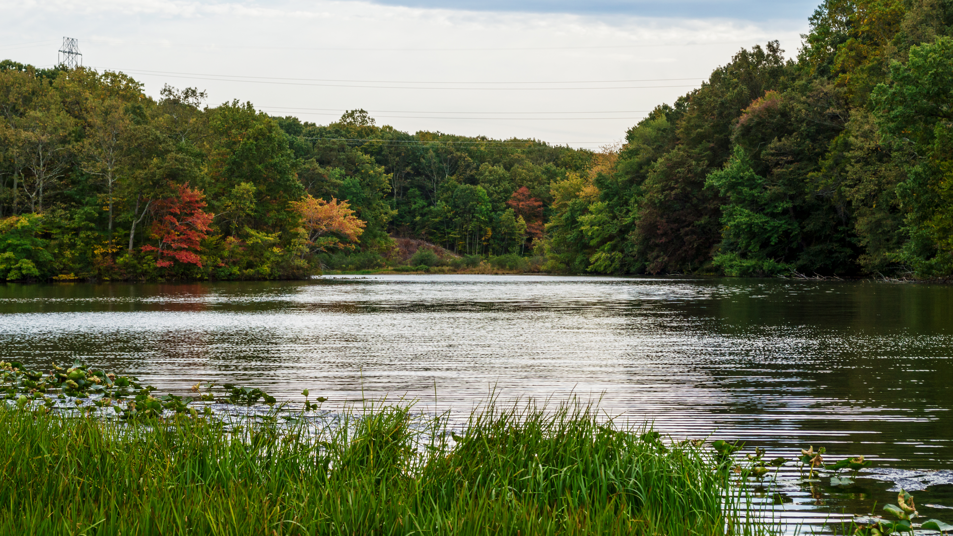 Perrineville Lake in Millstone, N.J.