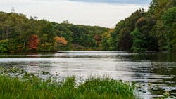 Perrineville Lake in Millstone, N.J. Perrineville Lake in Millstone, N.J.