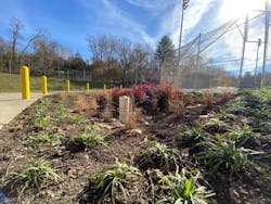 The rain garden adjacent to the ballfield at Volunteers Field filters pollution and supports drainage improvements. The rain garden adjacent to the ballfield at Volunteers Field filters pollution and supports drainage improvements.