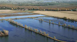 An aerial view of agricultural fields covered with water in Butte County.