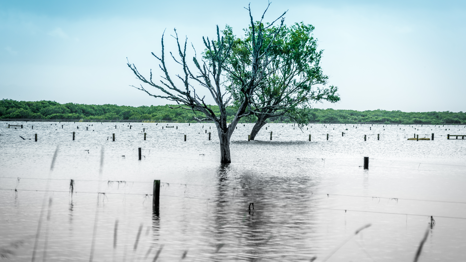 Dreamstime Xxl 110979483 63d4300163d93