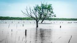 Dreamstime Xxl 110979483 63d4300163d93 Dreamstime Xxl 110979483 63d4300163d93