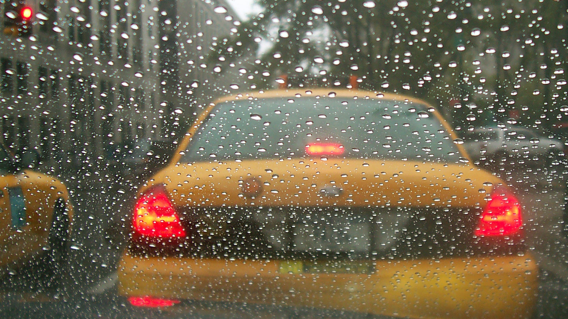 Dreamstime Xxl 1252758