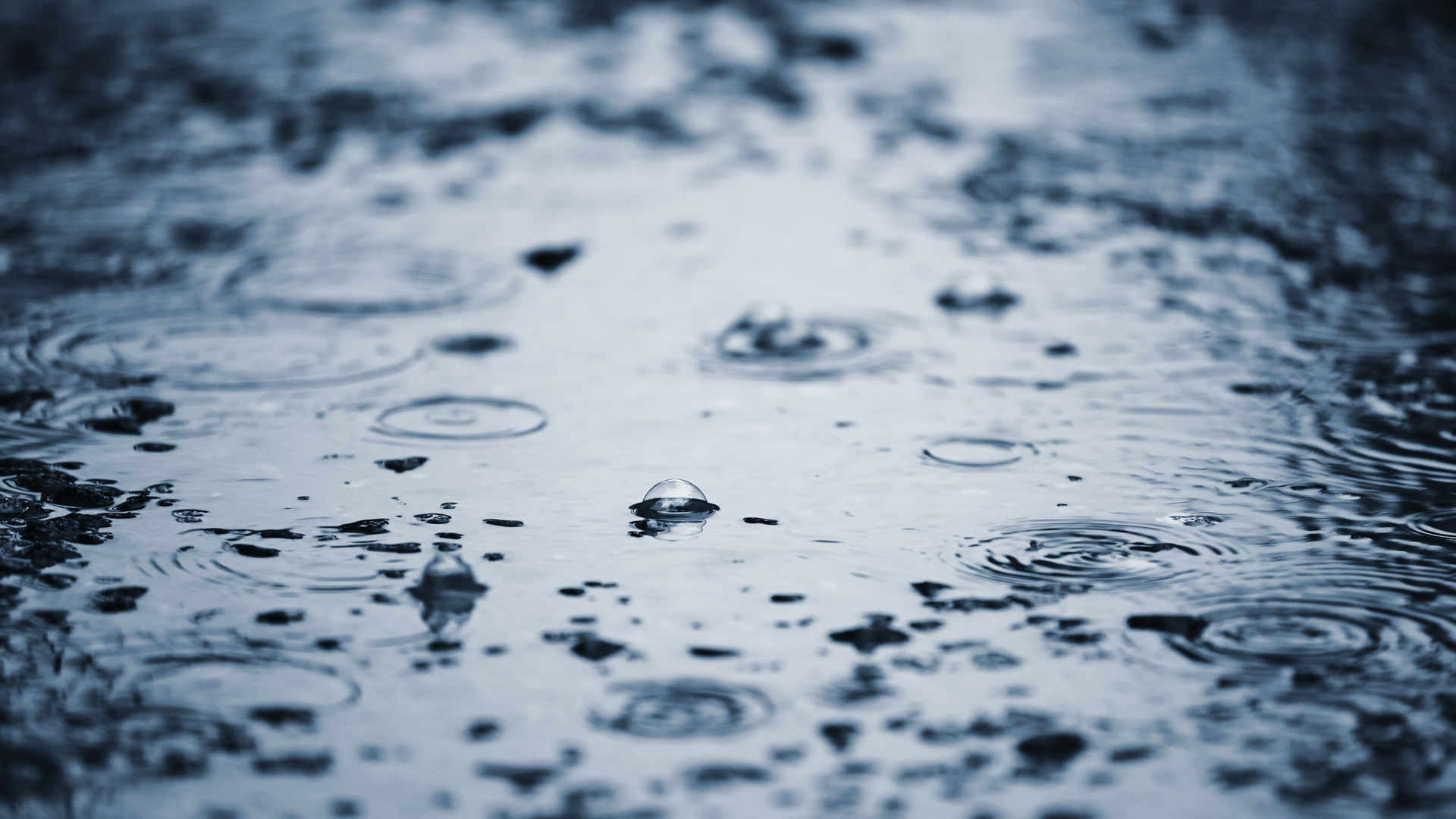 Dreamstime Xxl 39006920 63c1966f7d2fb