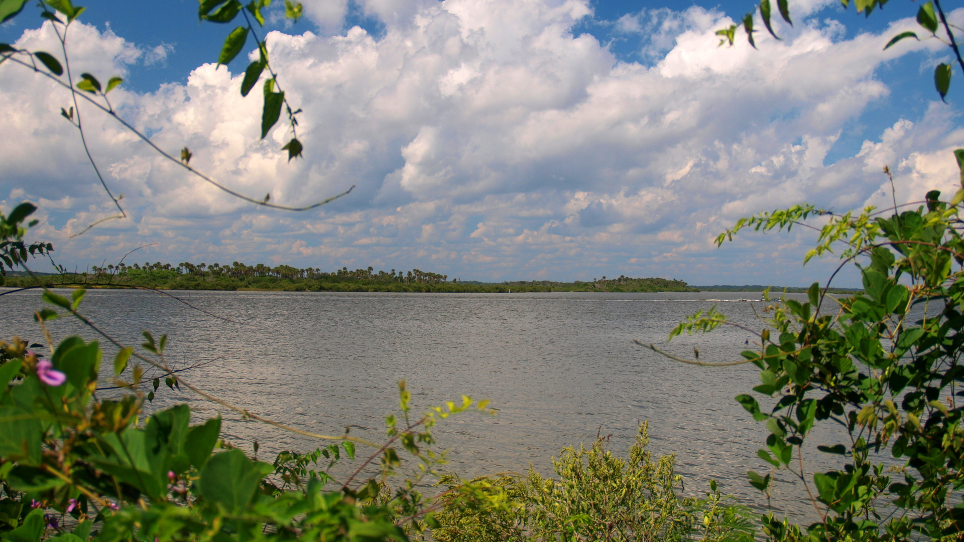 Dreamstime Xxl 77892008 63ced13d24651