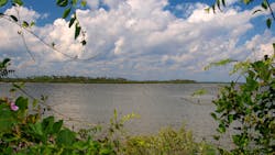 Dreamstime Xxl 77892008 63ced13d24651 Dreamstime Xxl 77892008 63ced13d24651