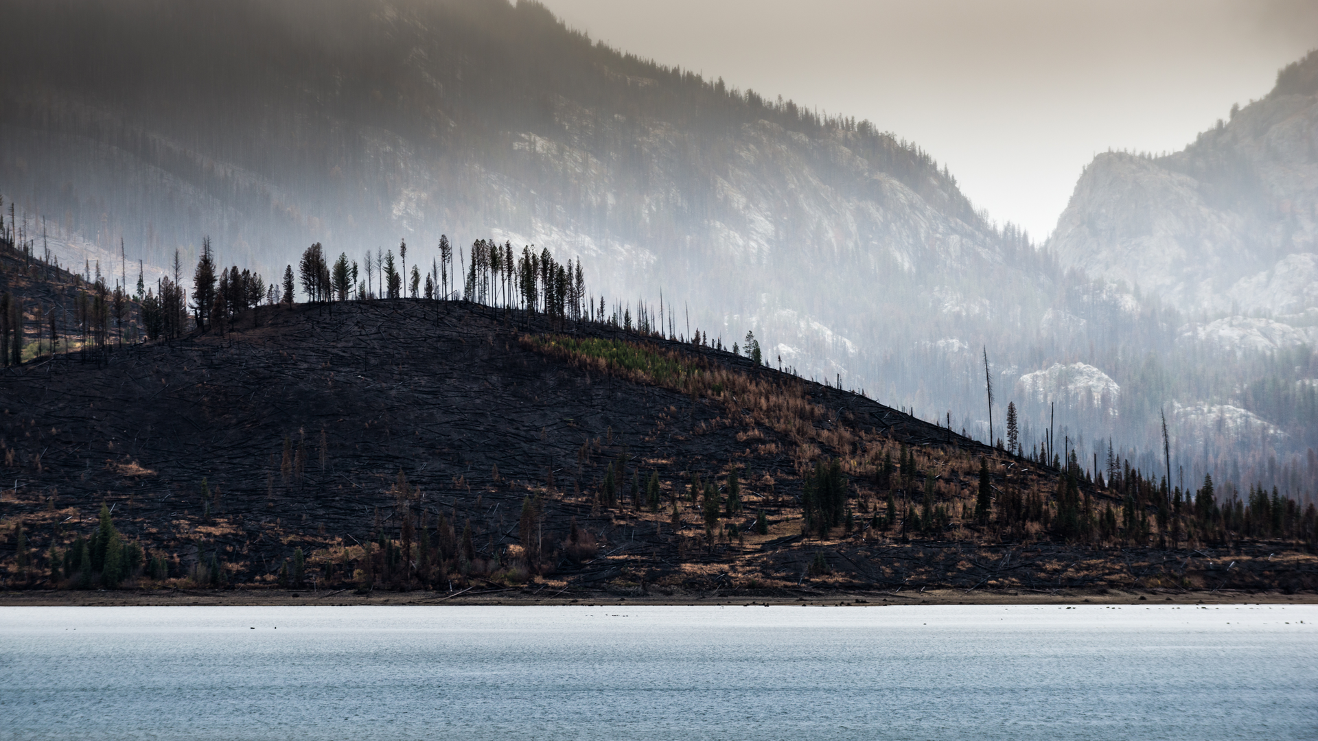 Dreamstime Xxl 79907580 63ce9c3f35dfe