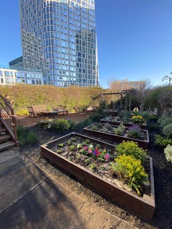 Epic Cleantec Garden Jan 22 3 Epic Cleantec Garden Jan 22 3