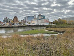 Flushing Creek’s degraded habitat and highly urbanized in November 2022. Flushing Creek’s degraded habitat and highly urbanized in November 2022.