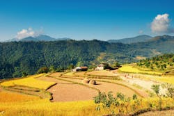 Dreamstime Xl 3613948 63b84c85b16a9 Dreamstime Xl 3613948 63b84c85b16a9