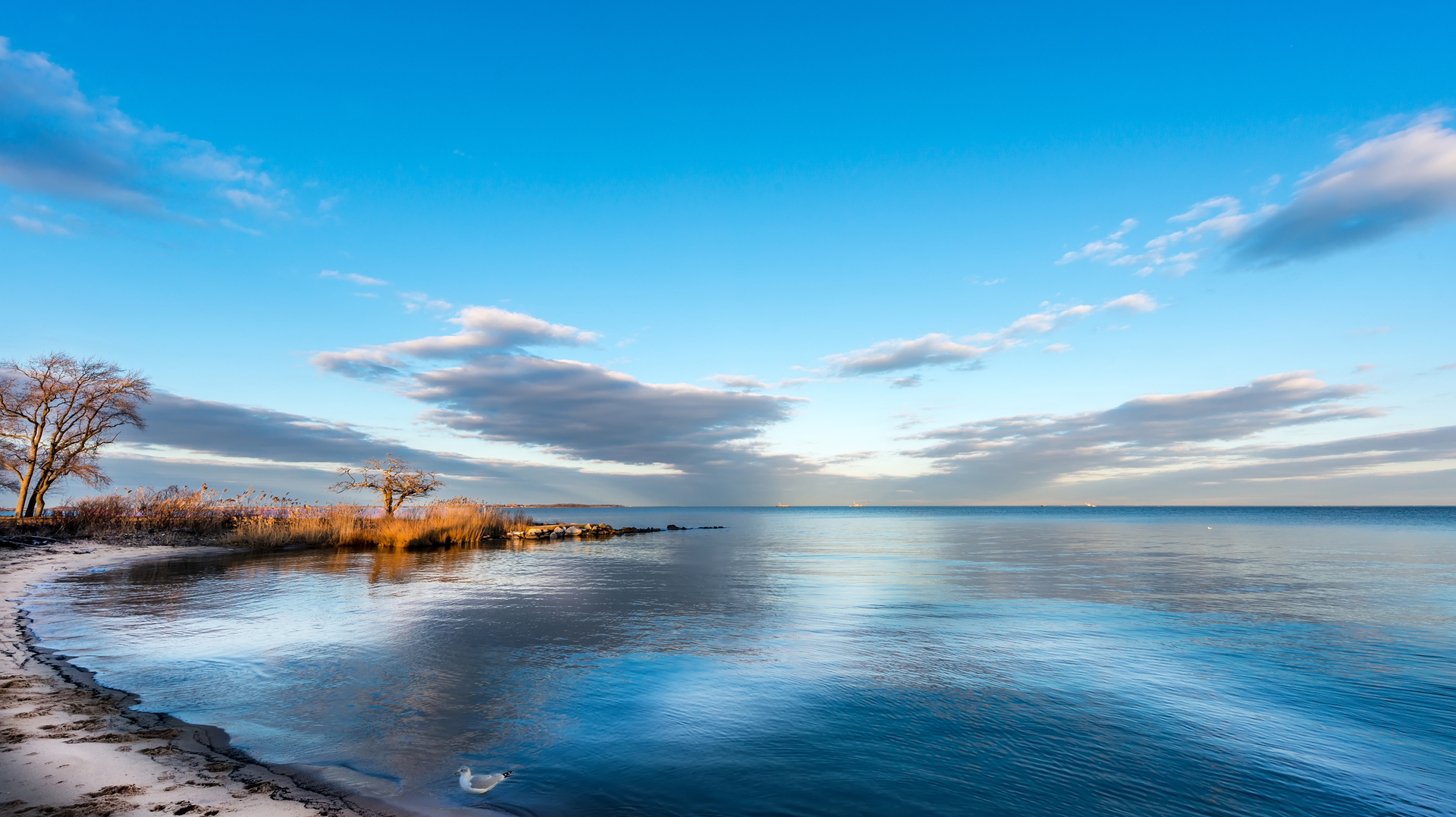 Dreamstime M 51937033 63fe776cda4f5