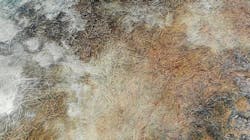 Zostera marina in the sea. Zostera marina in the sea.