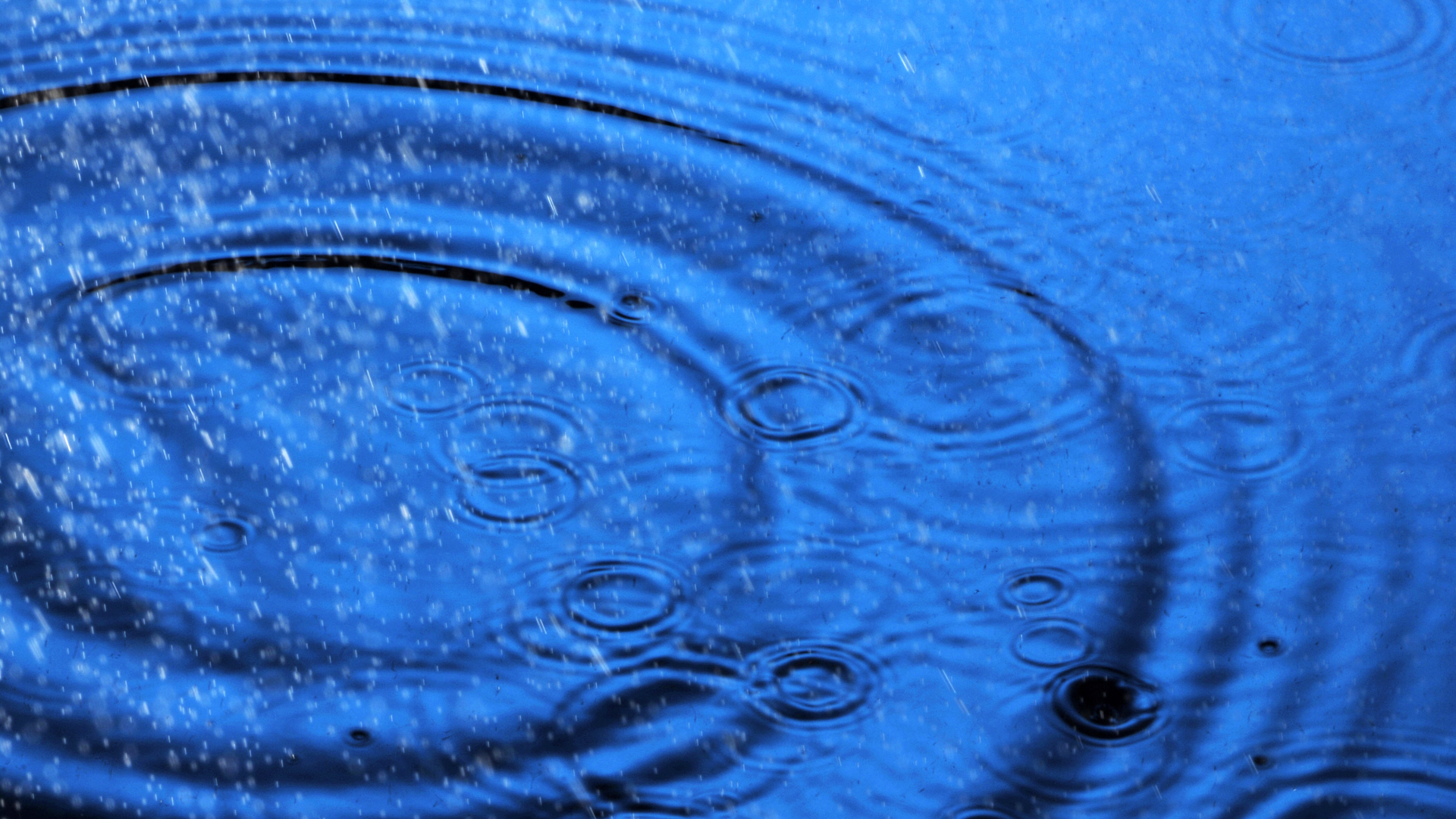 Dreamstime Xxl 4337426 63da856cc5f70