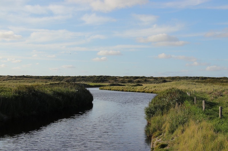 1654811351383 Landscape4523219 1920