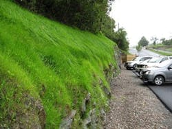 1654811399664 8 1654811399664 8