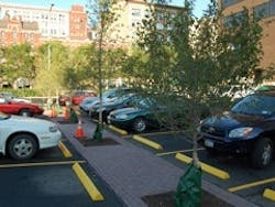 1654811403826 10 1654811403826 10