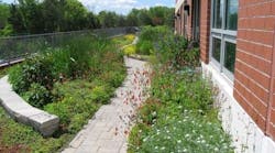 1654811483481-thirsty_duck_1 1654811483481-thirsty_duck_1