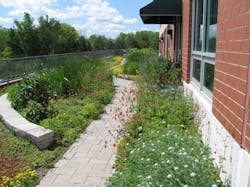 1654811483481 Thirsty Duck 1 1654811483481 Thirsty Duck 1