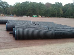 1654811636113 Sarah 2 1654811636113 Sarah 2