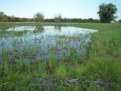 1654811701466 P1000706 1654811701466 P1000706