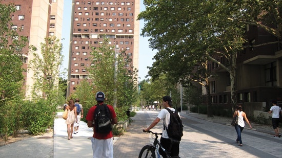 1654811766624 Use Img 2546