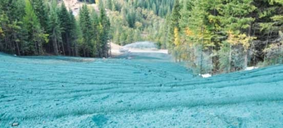 1654811831386 Afterremediation Lookingdownslope