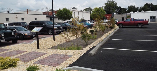 1654811841681 Filterra 0