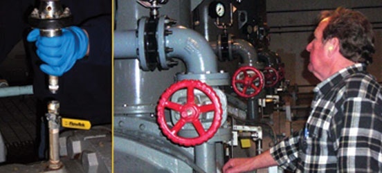 1654811924389 Baltomd1