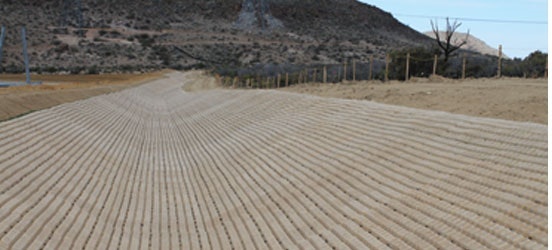 1654811935932 Img 7964 0