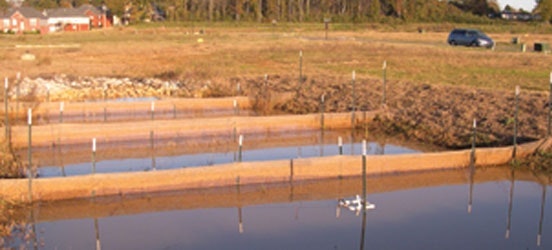 1654811951473-2009alskimmer