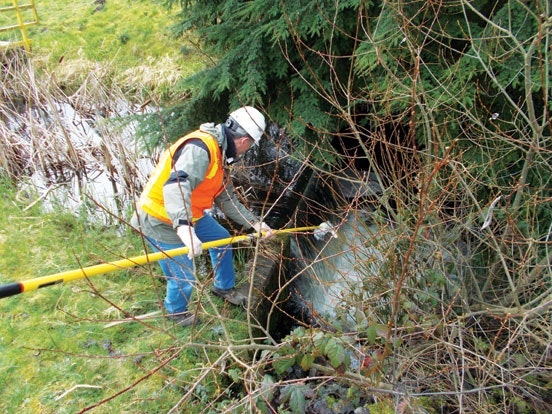 1654811982492 Usecleansamplingproceduresarecrucialtoanystormwaterprogramasdemonstratedbyr