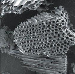 1654812005207 Biocharsem 1654812005207 Biocharsem