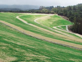 1654812012887 Image003 0