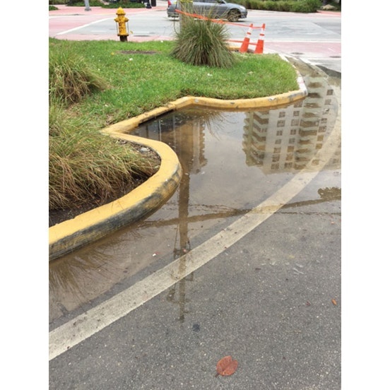 1654812105936 Img 0463