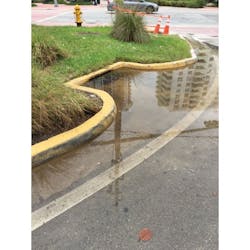 1654812105936 Img 0463 1654812105936 Img 0463