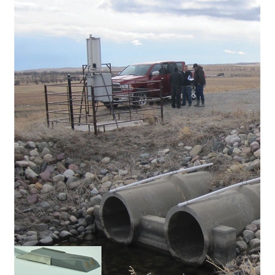 1654812117682 Greylineuid