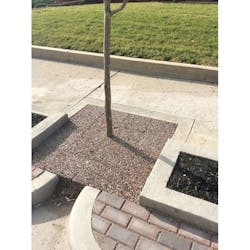 1654812148942 Img 0126 1654812148942 Img 0126