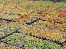 1654812154108 Img 5278 1654812154108 Img 5278