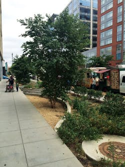 1654812174948 Img 2891 1654812174948 Img 2891