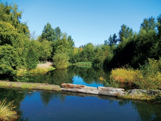 1654812198622-td4millcreekpond6