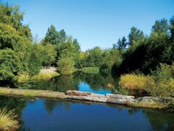 1654812198622 Td4millcreekpond6 1654812198622 Td4millcreekpond6