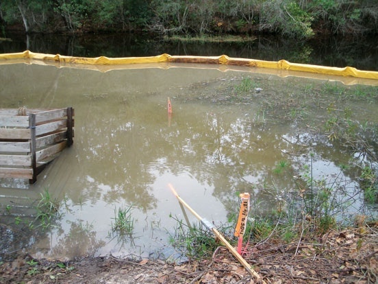 1654812222621 Picture5