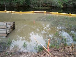 1654812222621 Picture5 1654812222621 Picture5