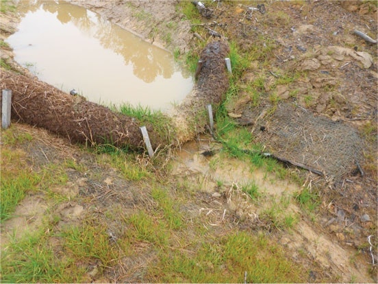 1654812236723 34 X Ec2 Kang