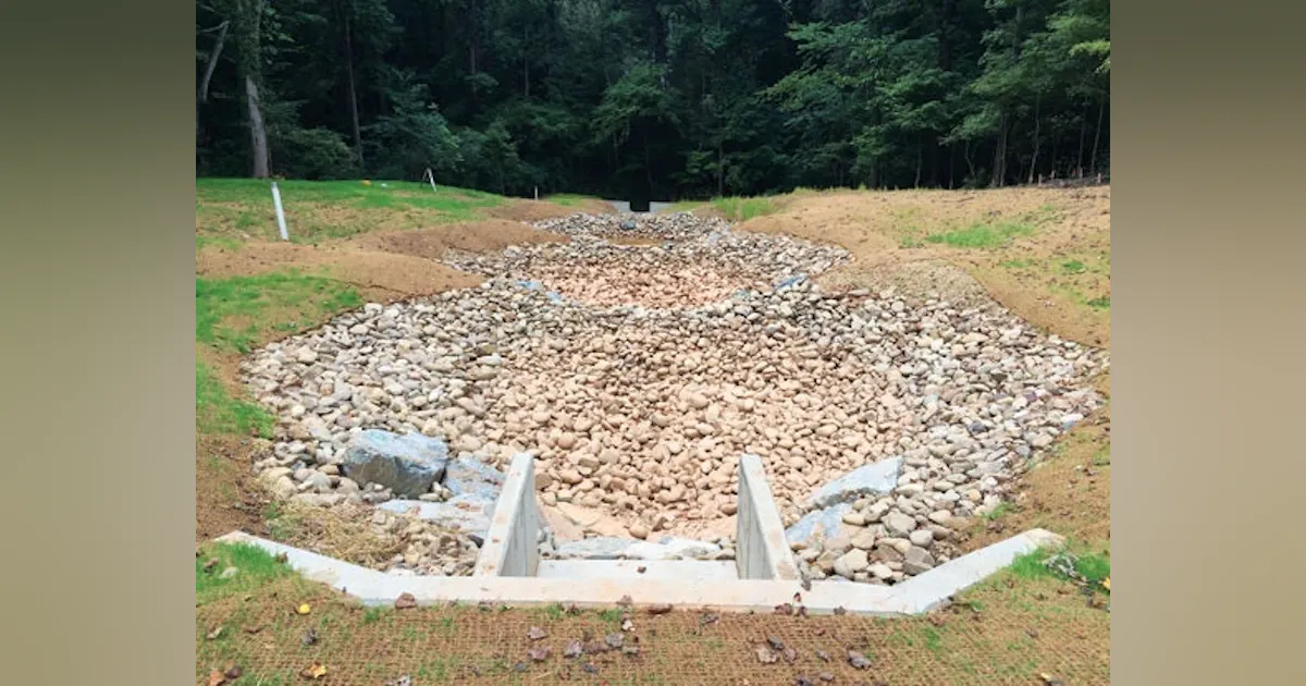 Vegetation: New Life for Old Outfalls | Stormwater Solutions