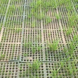 1654812334023 Tensar 2 1654812334023 Tensar 2