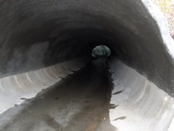 1654812336778 Odot 1654812336778 Odot