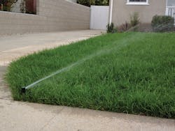 1654812353946 Usephoto 3 1654812353946 Usephoto 3