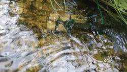 1654812358019 Use20160602 121240 1654812358019 Use20160602 121240